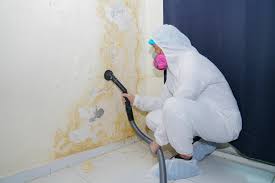 Trusted Pine Grove Mills, PA Mold Inspection Experts